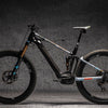 Dyedbro Ebike Frame Protection Rrr X Dyedbro Collab