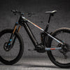 Dyedbro Ebike Frame Protection Rrr X Dyedbro Collab