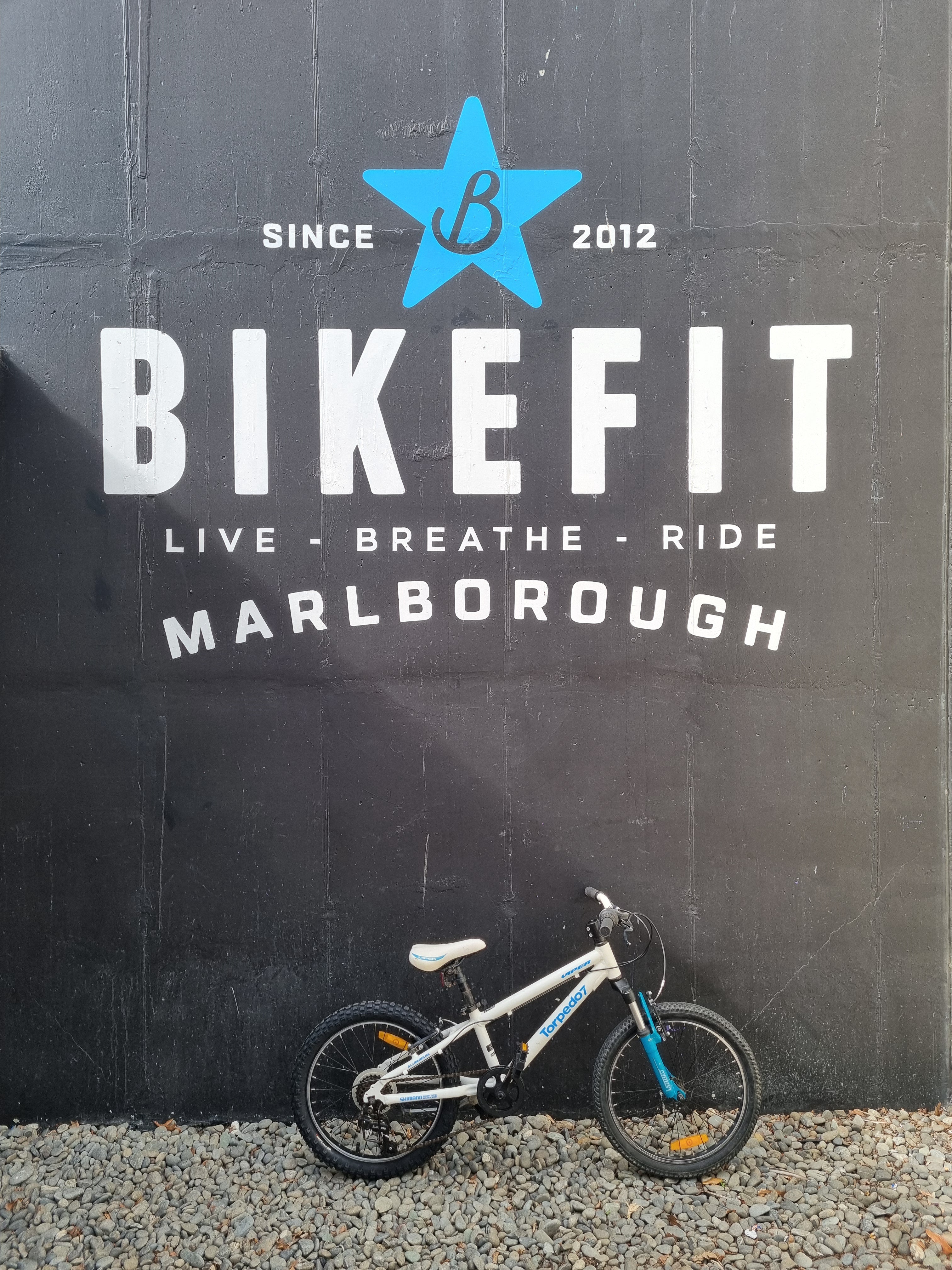 Used Bike Torpedo 7 Viper 20