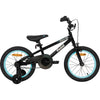 Pedal Buzz 16