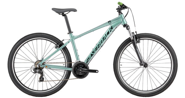 2025 Silverback SE:SERIES V