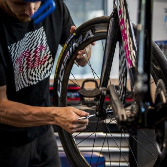 Look 875 Madison Frameset
