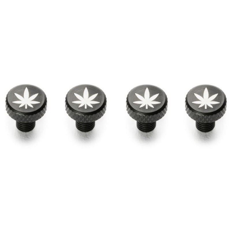 PDW Zit Bits Frame Bolts