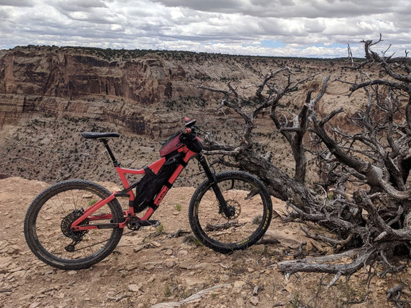 Revelate Designs Full Suspension Frame Bag
