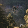 Goodyear Tyre Newton MTF Enduro 29