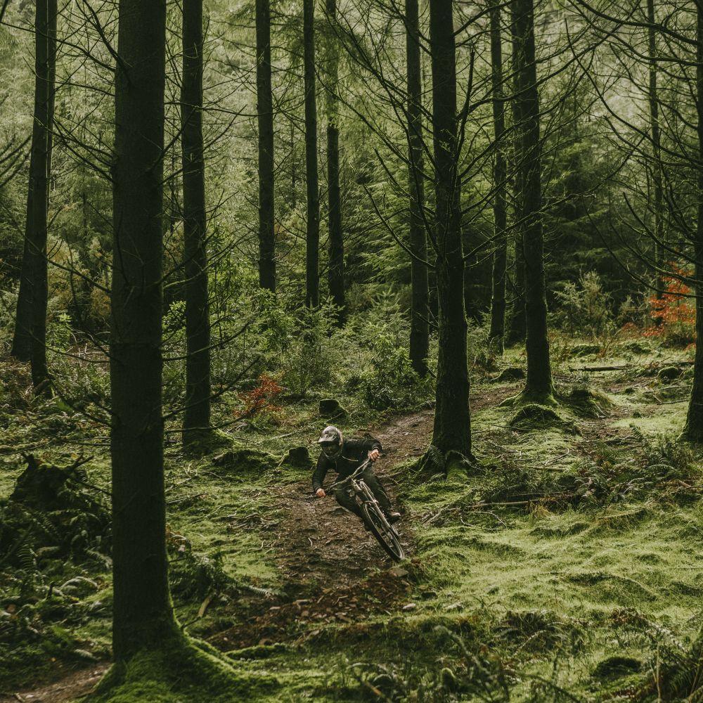 Goodyear Tyre Newton MTF Enduro 29