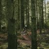 Goodyear Tyre Newton MTF Enduro 29