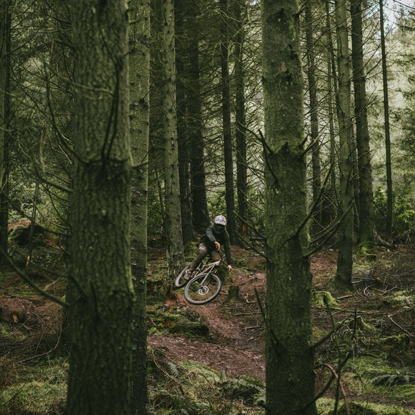 Goodyear Tyre Newton MTF Enduro 29