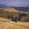Enve Foundation Ag28 Wheelset