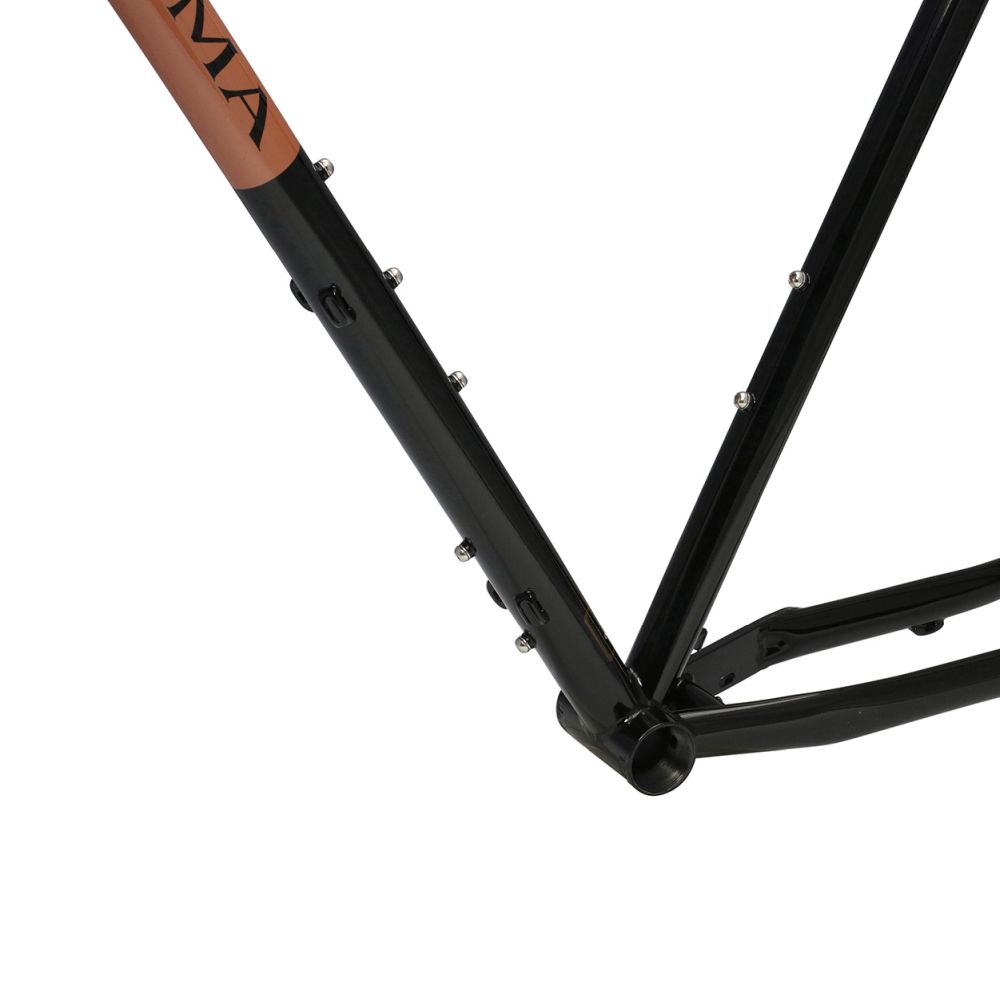 Soma Jawbone B Type Frame