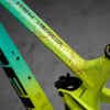 DYEDBRO Enduro World Series