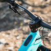 Wide Open Stem Cap