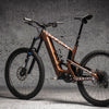 DYEDBRO Old School Tattoo E Bike