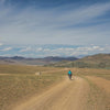 Apidura Expedition Accessory Pocket 4.5 L