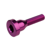 Burgtec Top Cap Bolts