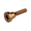 Burgtec Top Cap Bolts