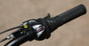 2025 Marin Bayview Trail 24