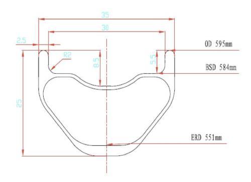 Roam Carbon Rims