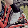 Shimano Shoe SH-RC502