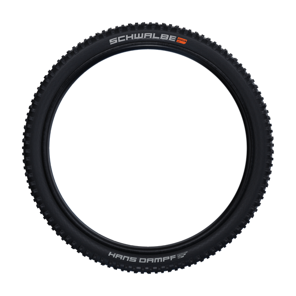 Schwalbe Tyre Hans Dampf