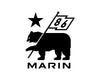 Marin Derailleur Hanger