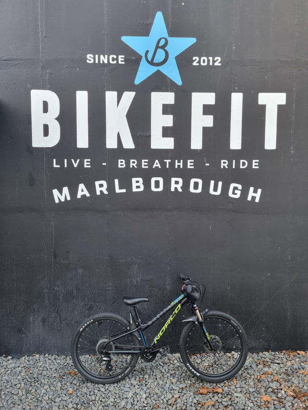 Used Bike Norco Charger 24