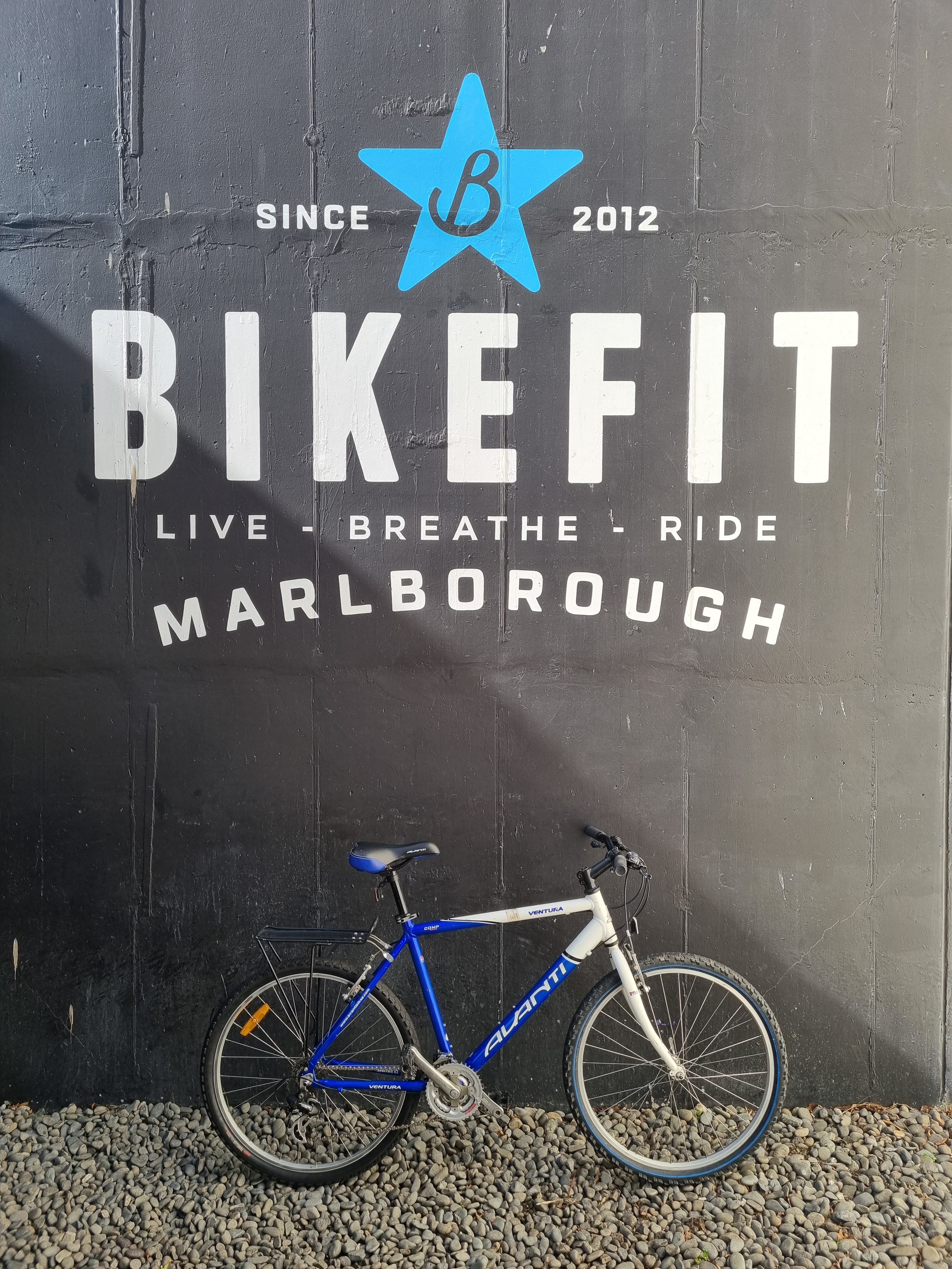 Used Bike Avanti Ventura / L