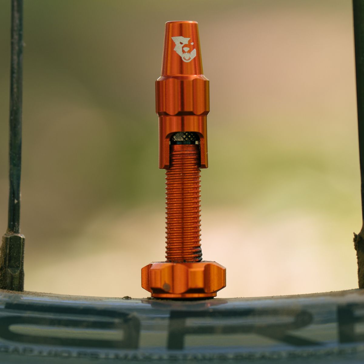 Wolf Tooth Tubeless Valve Stem Kit For Clik Valve