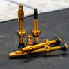 Wolf Tooth Tubeless Valve Stem Kit For Clik Valve