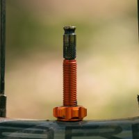 Wolf Tooth Tubeless Valve Stem Kit For Clik Valve 60 Mm