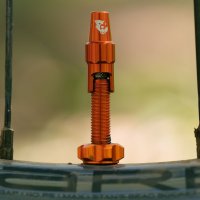 Wolf Tooth Tubeless Valve Stem Kit For Clik Valve 60 Mm