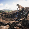 Flow Ex3 On Chris King Mtb Wheels