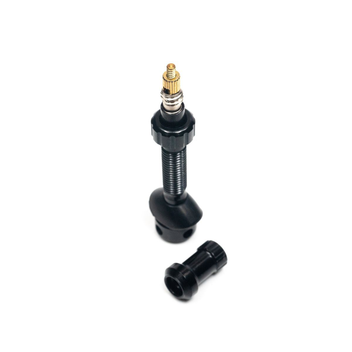 Stans Notubes Tubeless Universal+ Valve