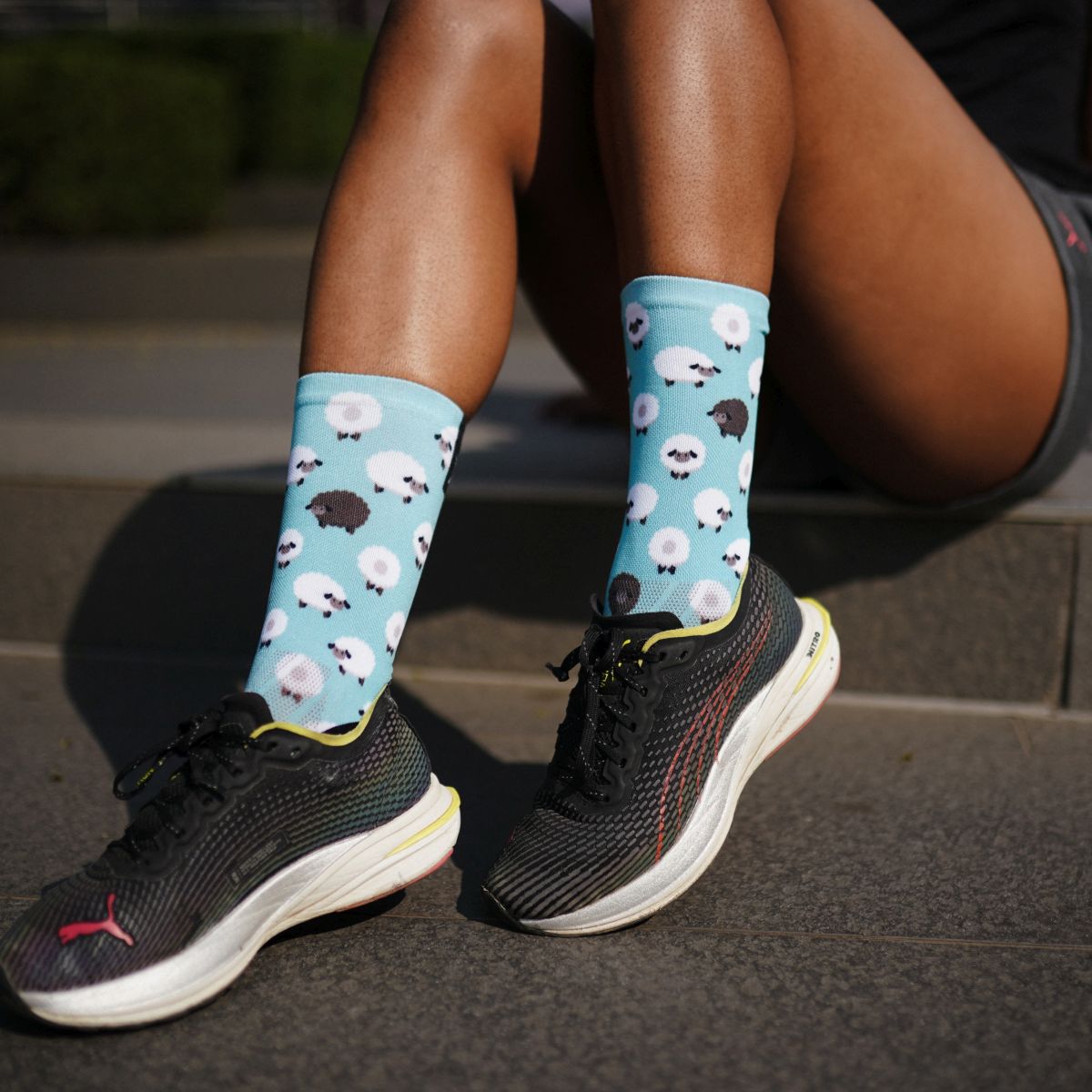 Sox Footwear Sheep Crew Socks