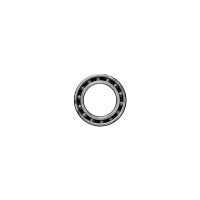 Ceramicspeed Hub Bearings Coated