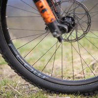 Stans NoTubes Flow S2 29