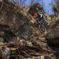 Stans NoTubes Flow S2 29" Rear Wheel