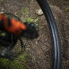 Stan's Notubes Arch Mk4 Rim