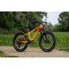 Marin San Quentin 20" / Yellow Fade