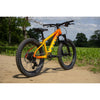 Marin San Quentin 20" / Yellow Fade