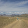 Apidura Expedition Accessory Pocket 4.5 L