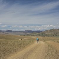 Apidura Expedition Accessory Pocket 4.5 L