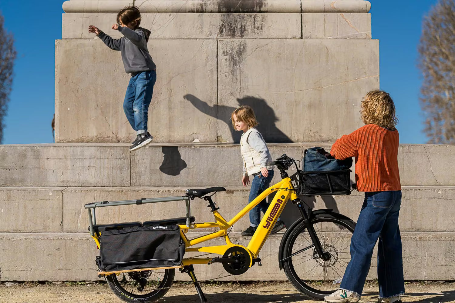 Yuba 2-Go Cargo Bags