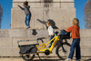 Yuba 2-Go Cargo Bags
