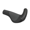 Ergon GP2 Evo