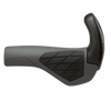 Ergon Grips GS2 with Bar End