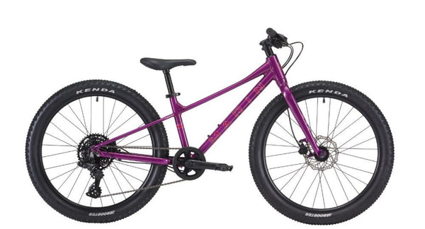 2026 Marin Bear Valley 24