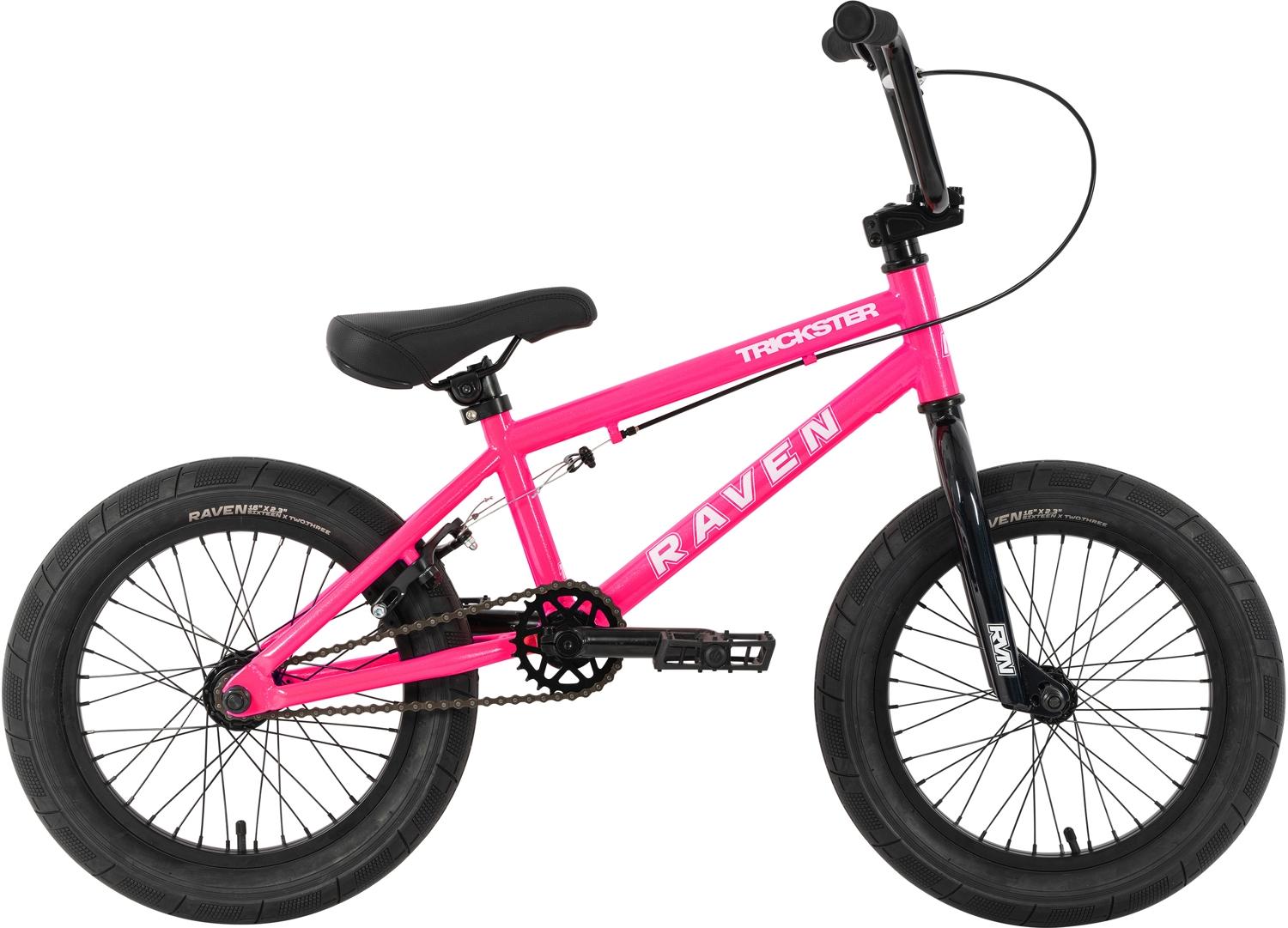 Raven Trickster 16
