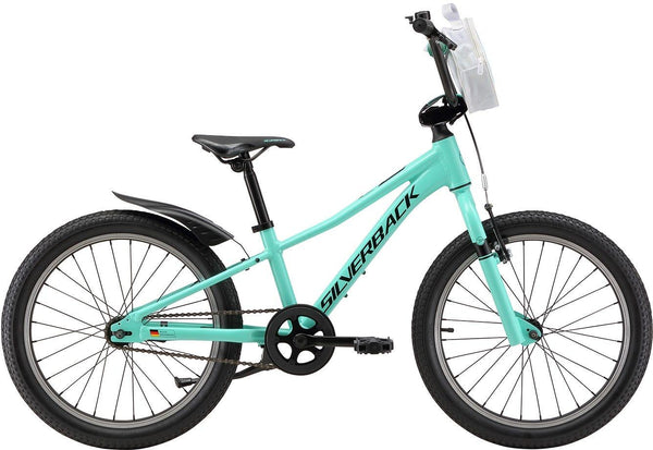 Silverback Skid 20" / Teal