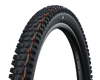 Schwalbe Albert Radial 29"